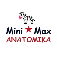 Mini Max